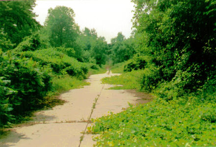 Abandoned, heavily vegetated path toward the Chain of Rocks Bridge