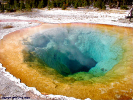 Morning Glory Pool, Yellowstone National Park