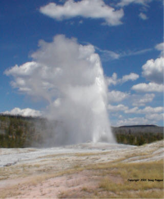 Old Faithful