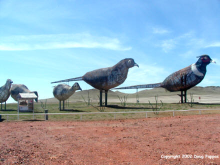Pheasants on the Enchanted Highway
