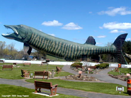 World's Largest Muskie, at the Freshwater Fishing Hall of Fame