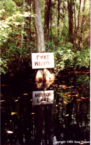 Okefenokee Swamp, GA