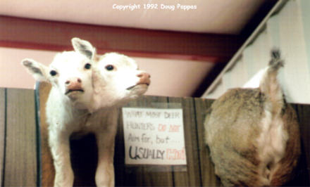 Two of the least attractive creatures at Prairie Dog Town, Oakley, KS