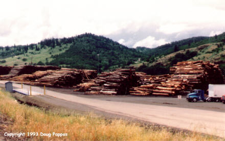 South of Roseburg, OR - logging country