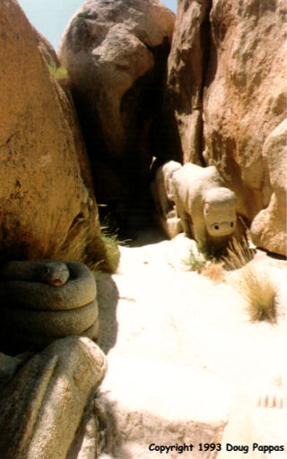 Animal carvings near Desert View Tower