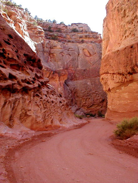 View along dirt road, Capitol Reef National Park