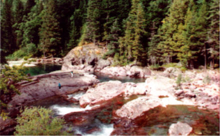 Avalanche Creek, Glacier National Park