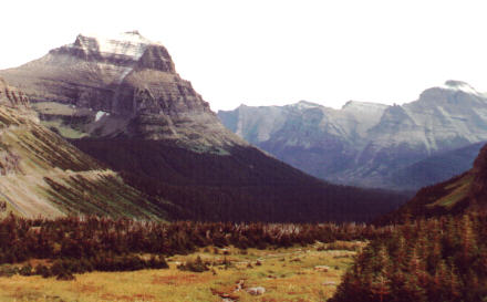 View from Logan Pass, Glacier National Park