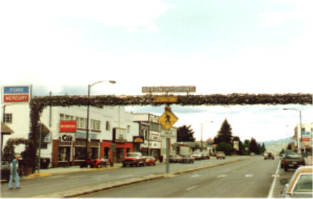 Welcome arch of elk antlers, Afton, Wyoming