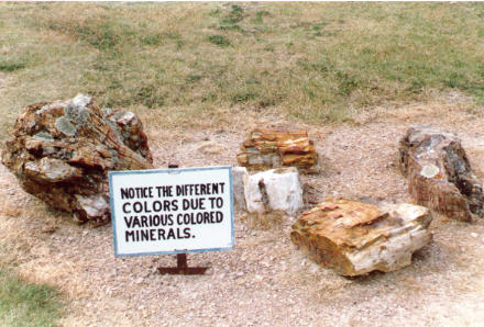 Sign at Badlands Petrified Gardens