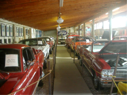 A barnful of old Ford muscle cars
